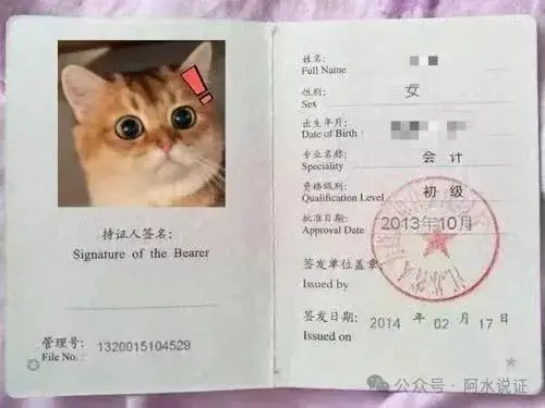 解锁 2025 出纳新高度,这些证书你不容错过