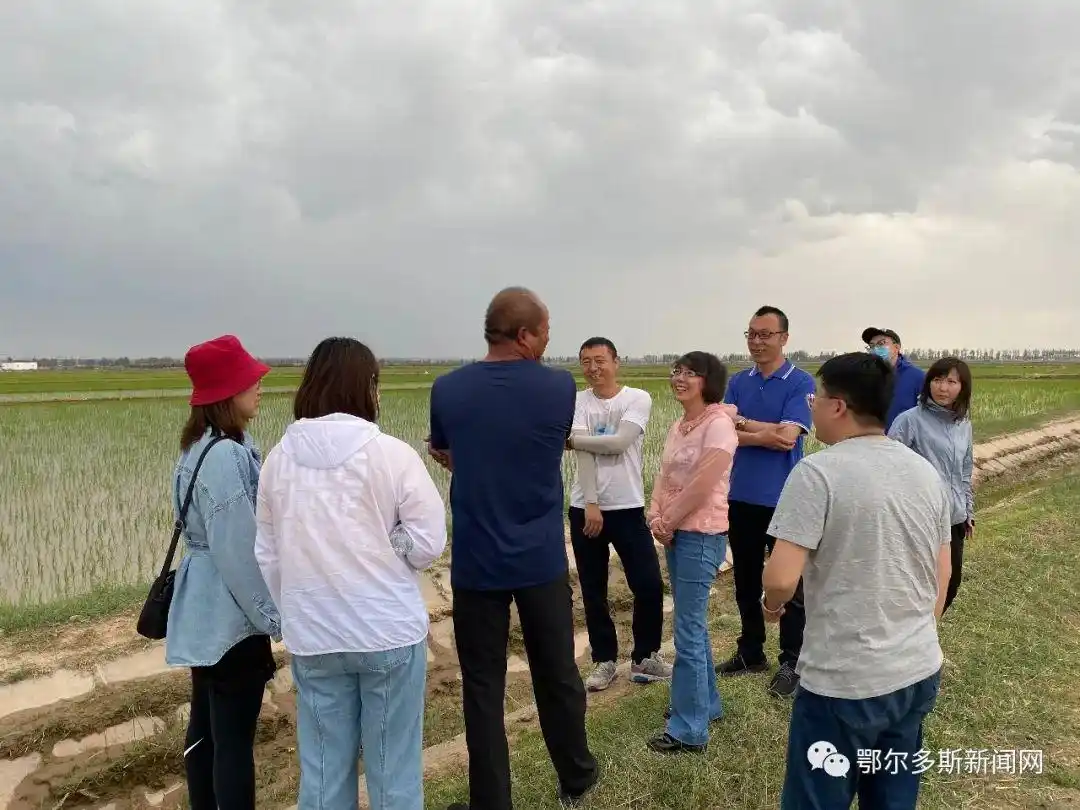 因为这件事，人民网、新华网、中国新闻网的记者都来鄂尔多斯了！