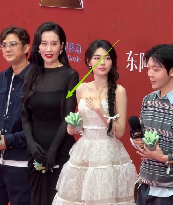 海南红毯太真实，毛晓彤挤出副乳，温峥嵘险走光，陈都灵平胸