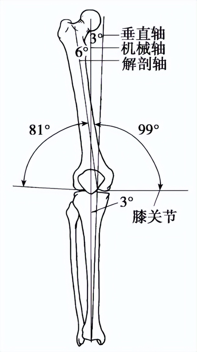收藏 | 股骨远端骨折4种手术治疗方式