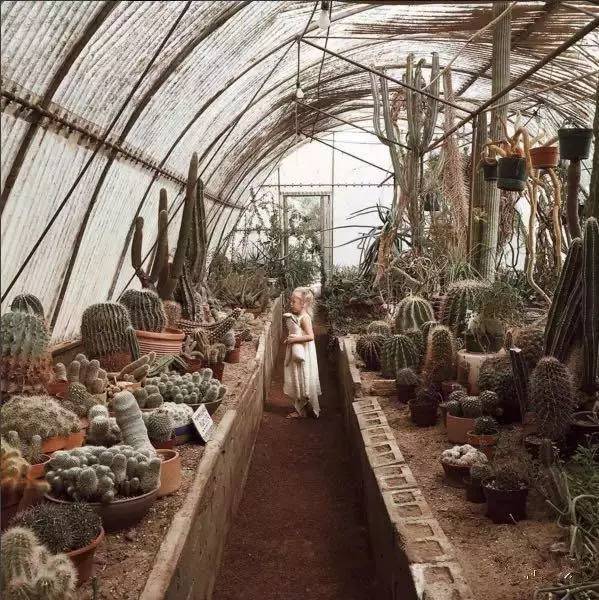 正确的晒娃方式 赶快时尚起来