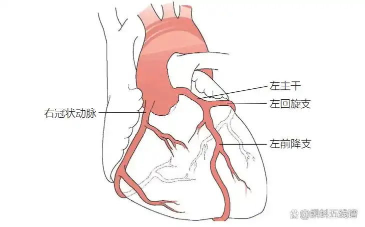 单凭心电图“ST-T段改变”诊断心肌缺血？你又错了……