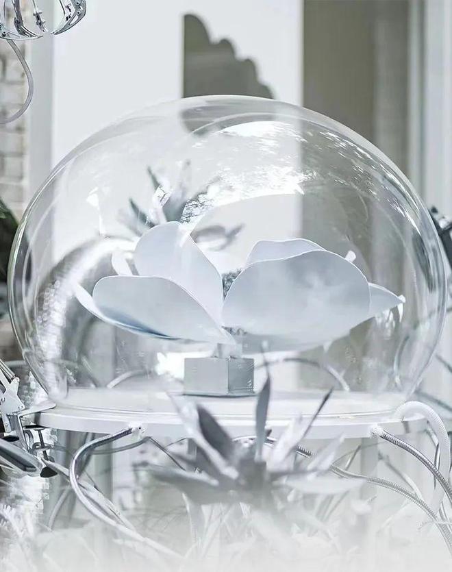 别再找代购了！北京这些精致与潮流并存的买手店，真的好逛！