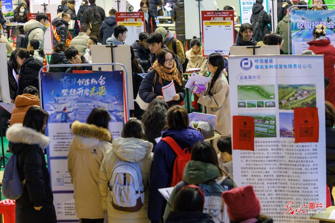 【职引未来】聚合力搭平台送岗位 暖心服务助青年梦想启航