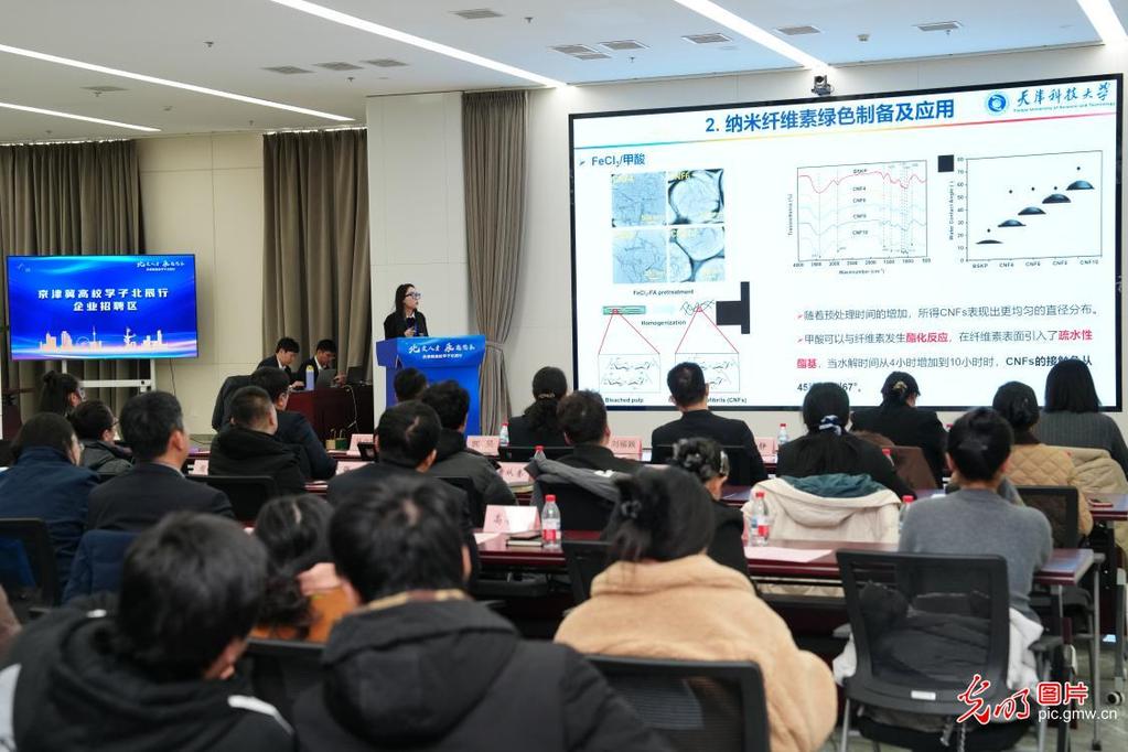 【职引未来】聚合力搭平台送岗位 暖心服务助青年梦想启航