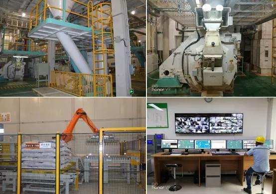 树立创新氛围，把握创新方向，嘉吉谈创新始终聚焦客户价值