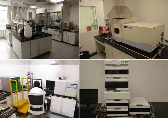 树立创新氛围，把握创新方向，嘉吉谈创新始终聚焦客户价值