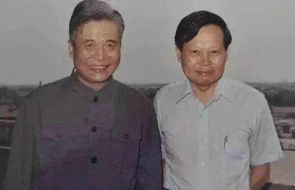 杨振宁先生自称当年没看懂“千里共同途”，实在是过谦了