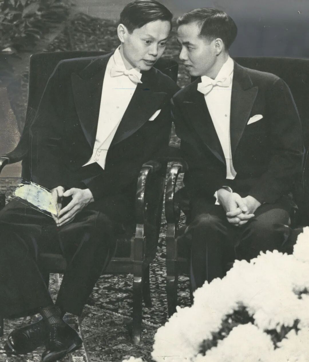 杨振宁先生自称当年没看懂“千里共同途”，实在是过谦了