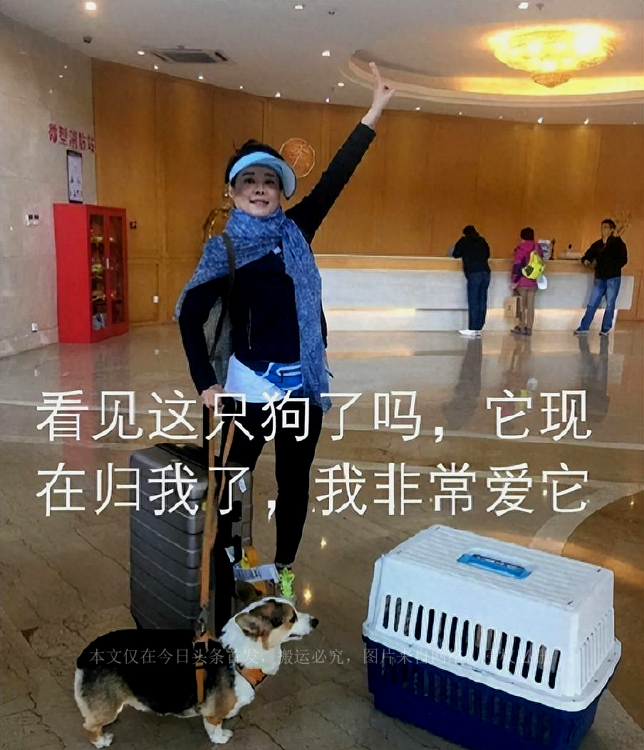 电影节的红毯,将袁立的“荒诞”展现得淋漓尽致