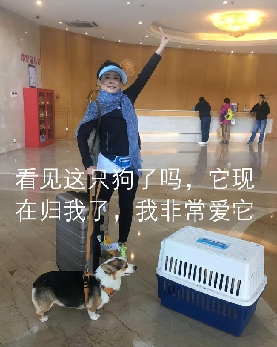 “不爱惜羽毛”的袁立，终为她的“口无遮拦”付出了代价