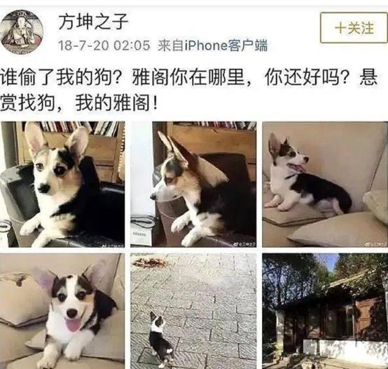 “不爱惜羽毛”的袁立，终为她的“口无遮拦”付出了代价