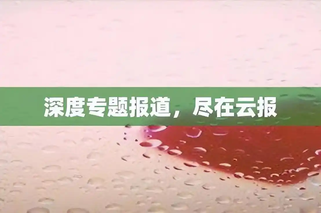 财经新闻报道中，语言表达有模糊性，顺应论或可解决