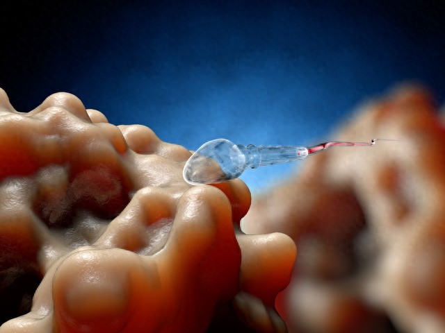 进入女性体内后，没成功“受精”的精子都去了哪里？既好笑又心疼