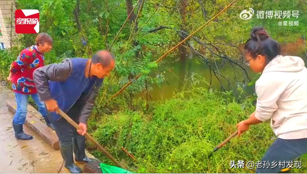 无心插柳柳成荫：女大学生“意外”当选村官的故事