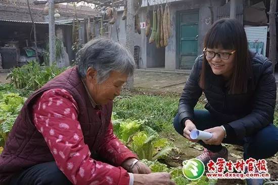 风采｜河北省10位优秀大学生村官服务村民事迹介绍