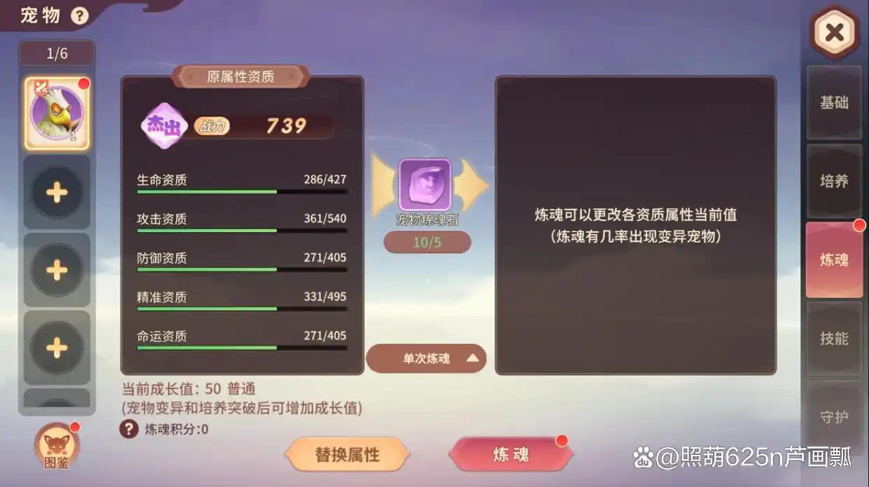 《再见江湖》宠物玩法攻略大全