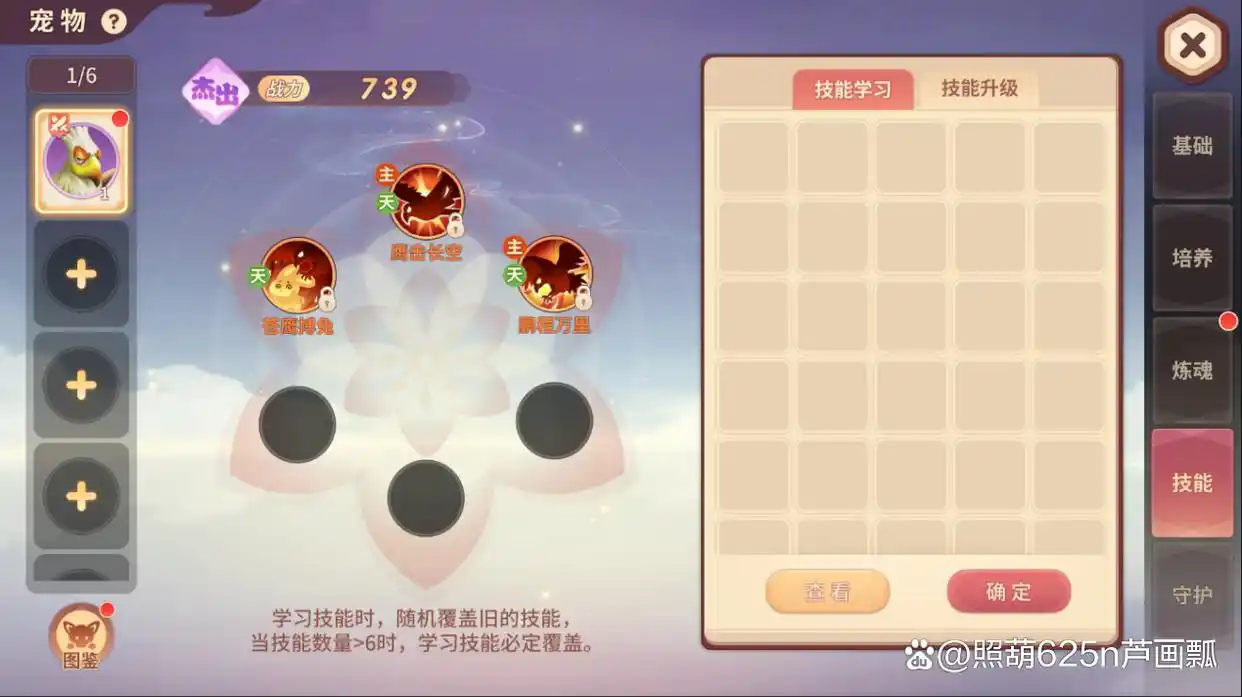 《再见江湖》宠物玩法攻略大全