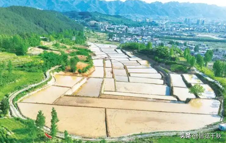 国家大事，与月薪3000元的我们没关系？看看五个真实案例