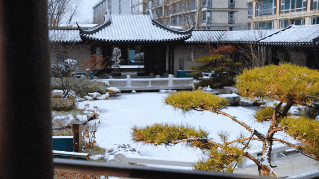 十年了!绿城在天津的“含金量”还在上升!