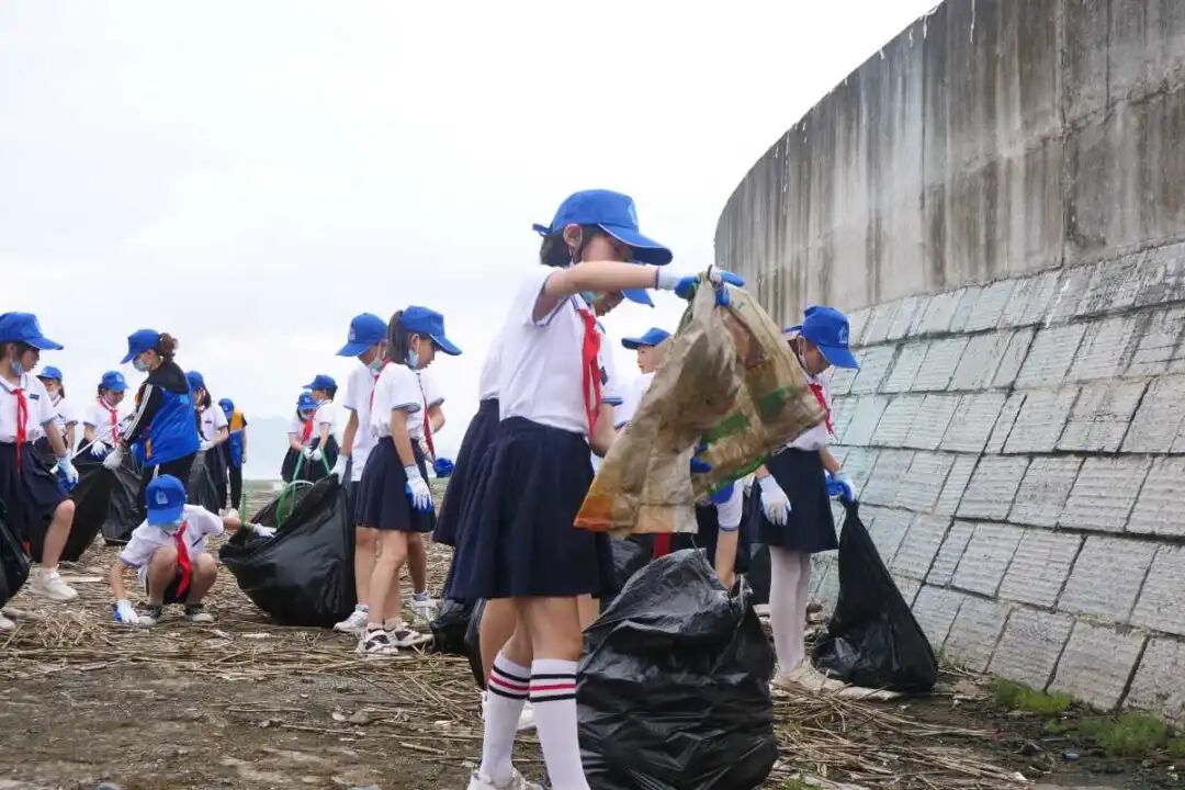世界环境日丨大手拉小手，奉化“蓝海卫士”志愿行动呵护“蓝色家园”