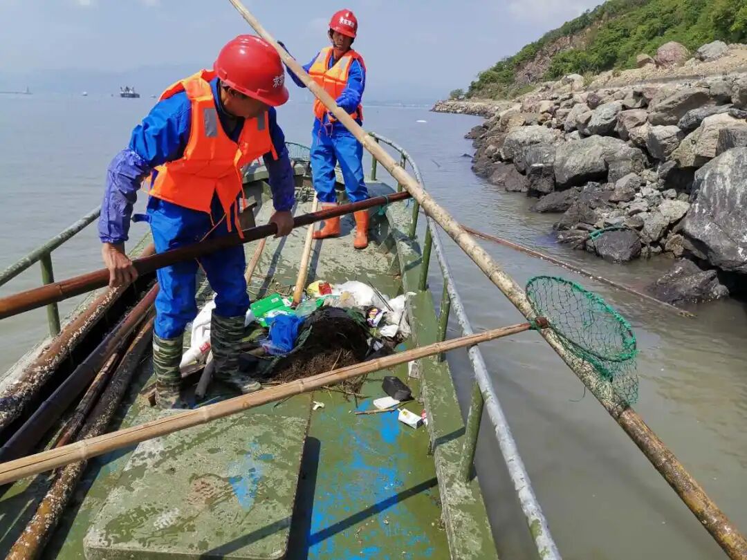 世界环境日丨大手拉小手，奉化“蓝海卫士”志愿行动呵护“蓝色家园”