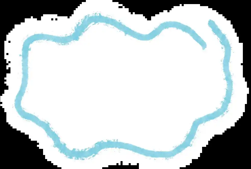 蓝色战队齐聚台山:海洋环保行动热潮