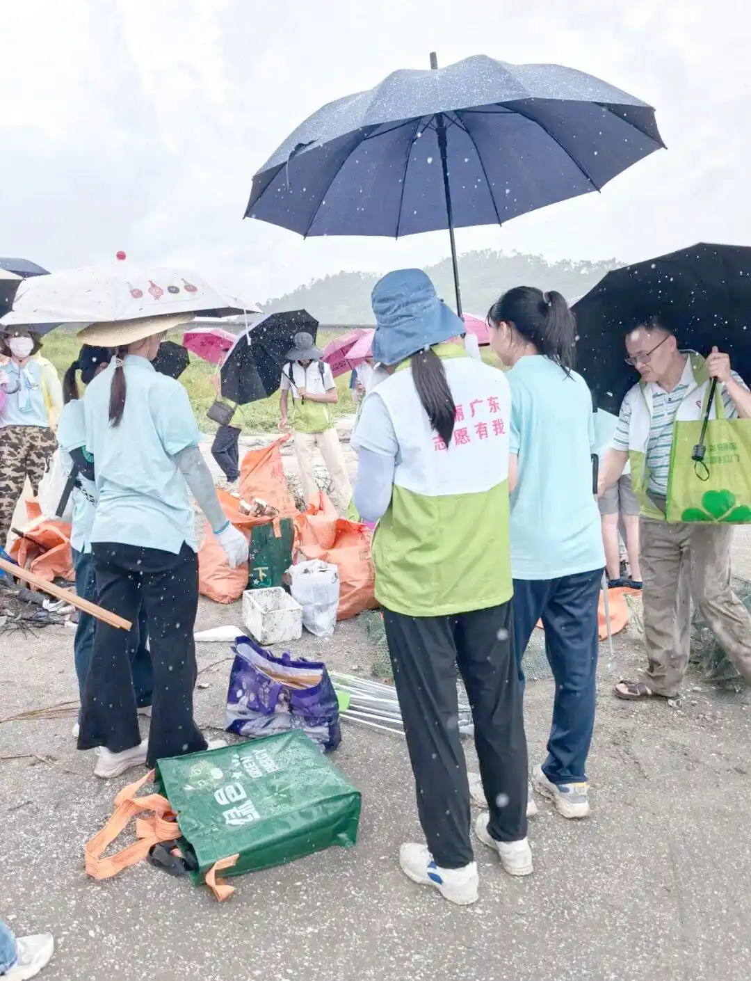 蓝色战队齐聚台山:海洋环保行动热潮