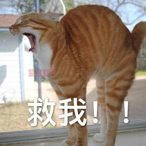 血腥与搞笑并存！血腥的好时光手游等你来战
