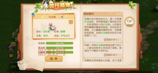 梦幻西游皮蛋儿使用指南：规避封号风险的必备技巧
