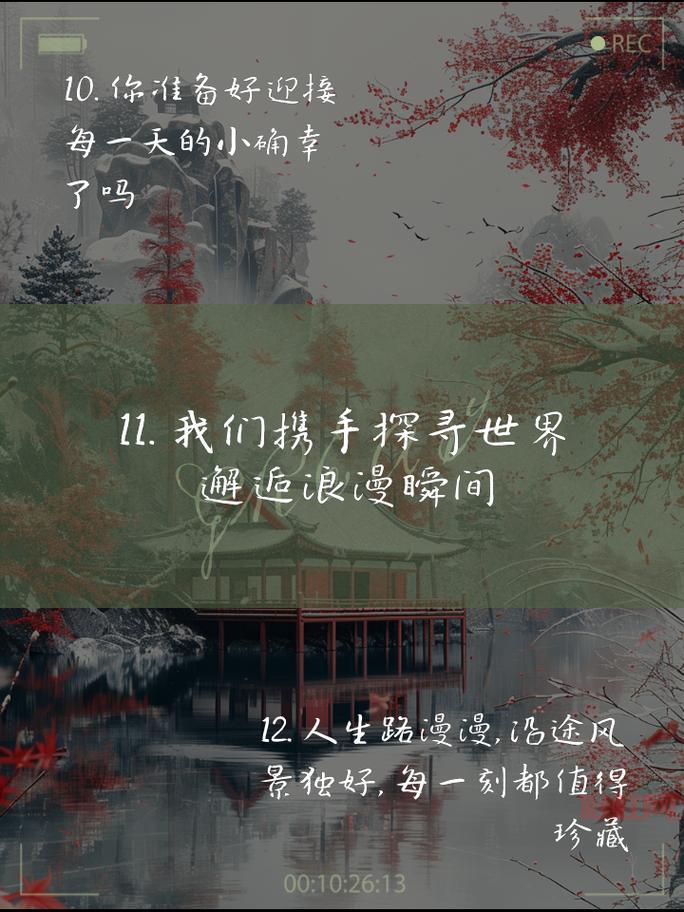 石器书屋官网：最新章节更新，尽享无广告阅读体验