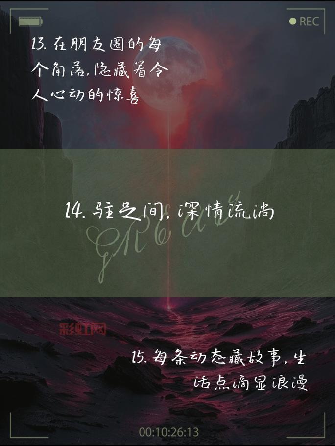 石器书屋官网：最新章节更新，尽享无广告阅读体验