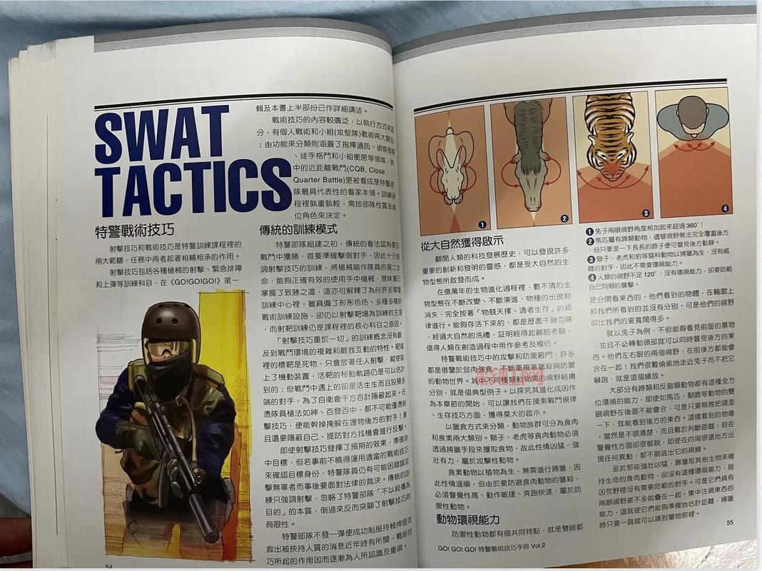 二战狙击手2攻略：成为终极狙击手的技巧与战术