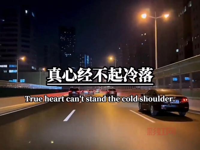 你在怀疑你在叹息：解读歌词背后的深情与无奈
