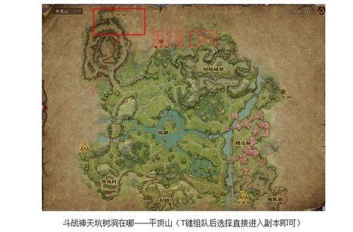 天坑树洞在哪？新手玩家必看攻略！