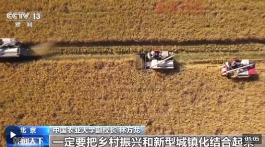 农业第一次绿色革命与粮食安全的深远影响