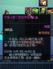 掌握女格斗二觉：角色技能与宠物外观一览