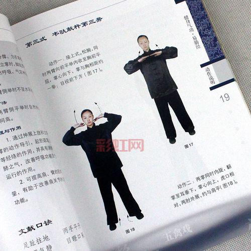 [形意拳出招表：完整招式解析及实战技巧]