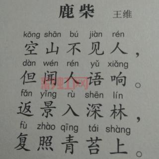 复照青苔上的上一句是什么？——王维鹿柴经典解析