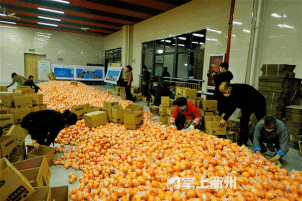 癞子中心：揭秘最新农副产品收购动态