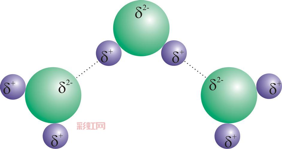 什么是氢键？探讨其在分子结构中的重要性