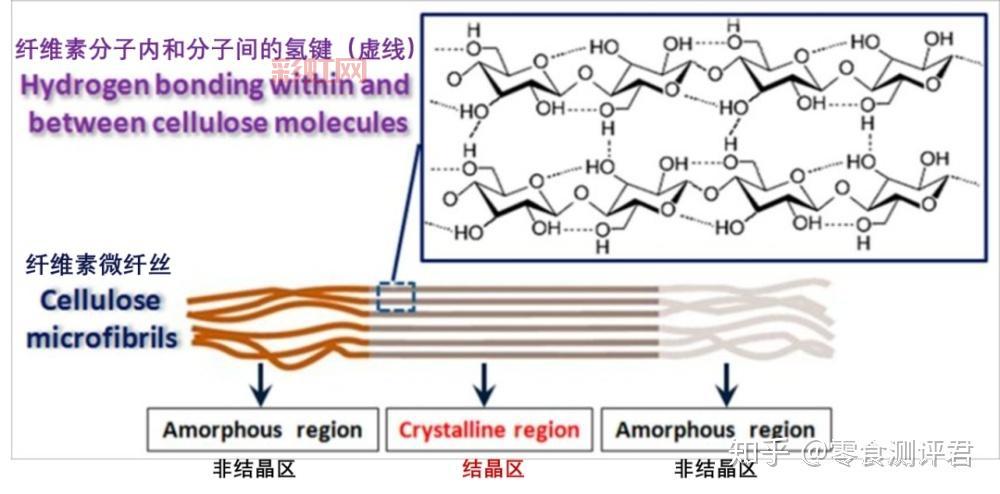 什么是氢键？探讨其在分子结构中的重要性