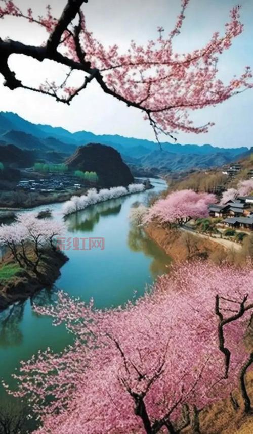 探秘“水村山郭酒旗风”中的诗意江南