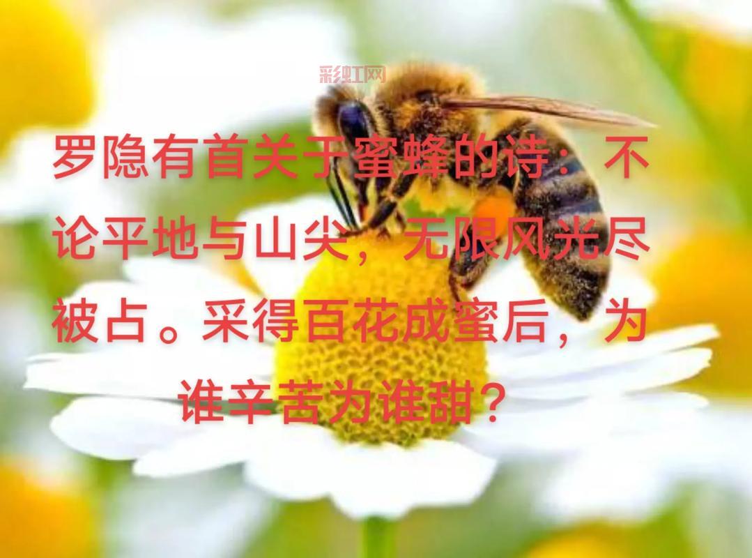 采得百花成蜜后，谁能理解这份辛苦？探索诗句的现实寓意