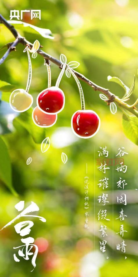 采得百花成蜜后，谁能理解这份辛苦？探索诗句的现实寓意