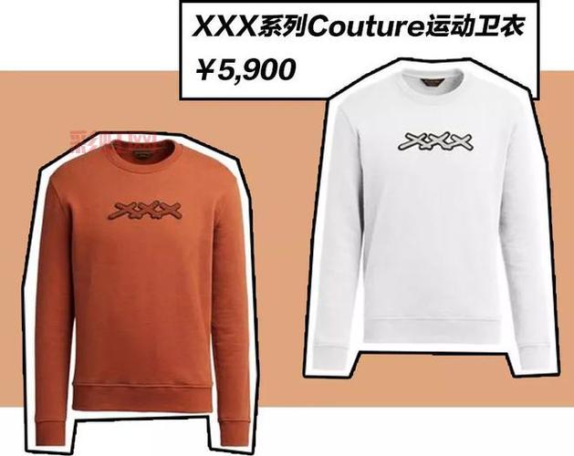 XXXXXOO详解：功能特点及未来展望