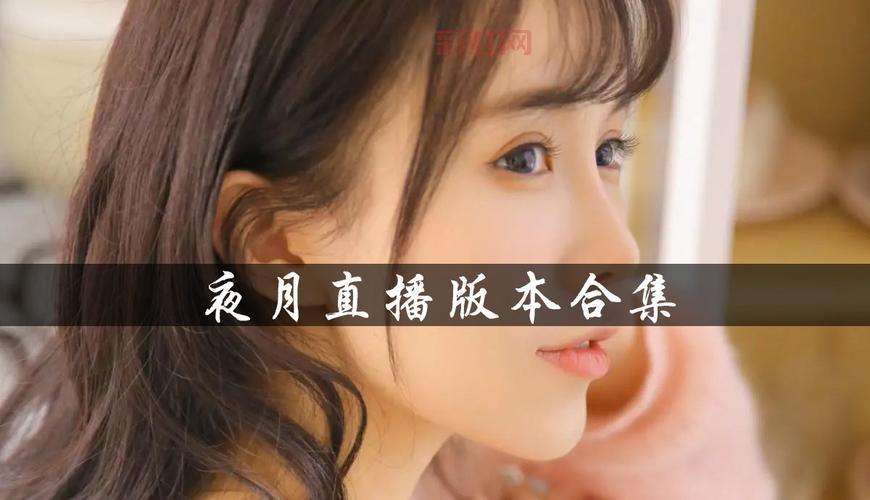 夜月直播app版