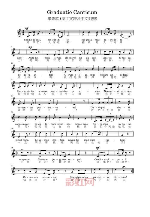 Despacito歌词逐句中文翻译：探寻热情拉丁风情之美