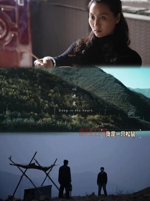 迷踪2剧情解析：环环相扣的悬疑反转让你一口气看完