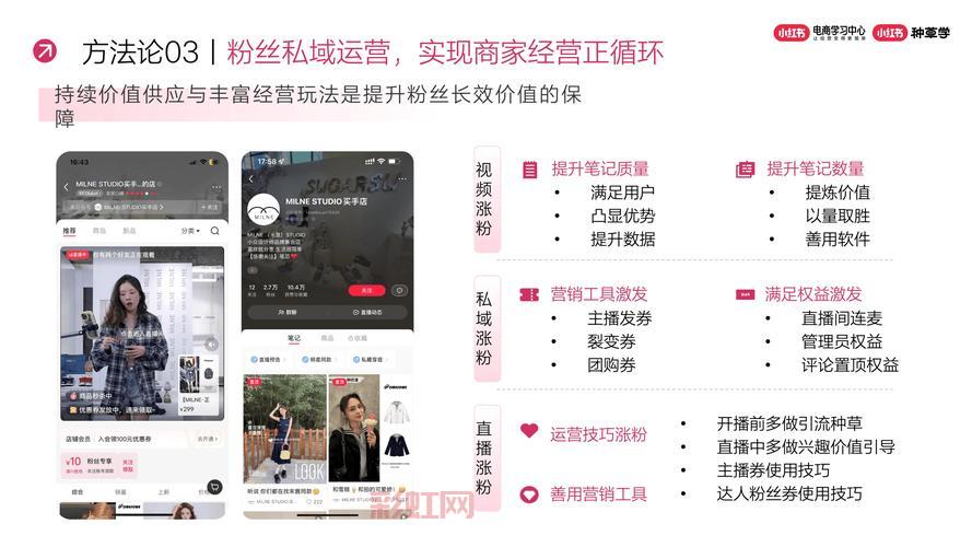 武林立志传秘籍大全：全门派秘籍获取与玩法攻略